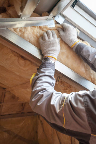 Best Commercial Insulation in Murrells Inlet, SC